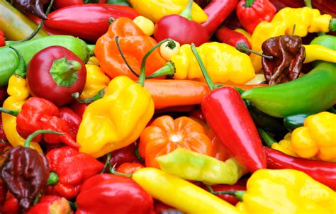 hot peppers photos|More.